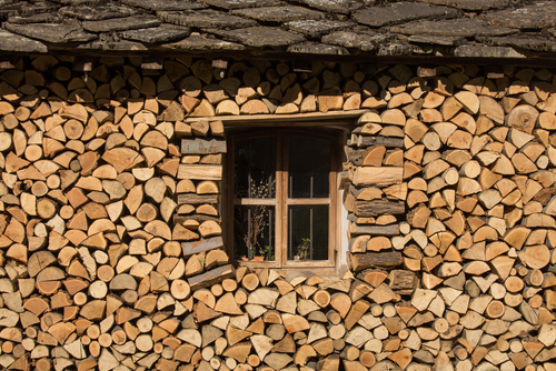 logs & firewood east devon